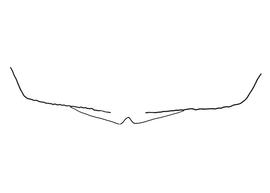  Anthidium labergei  female, diagram showing the dorsal view of the sixth tergite (T6), diagram from Gonzalez and Griswold 2013 
